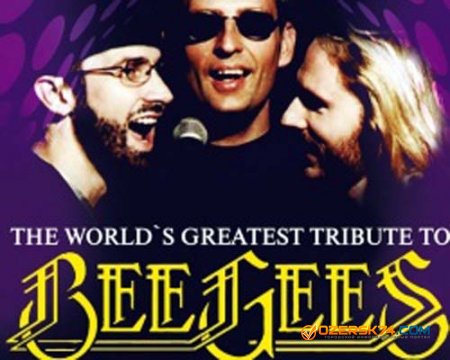 Группа Bee Gees в Челябинске