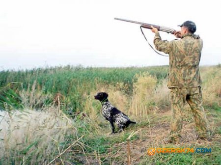 23 августа на Южном Урале открывается охота на пернатую дичь