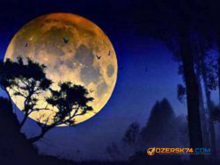 Сон человека зависит от фаз Луны