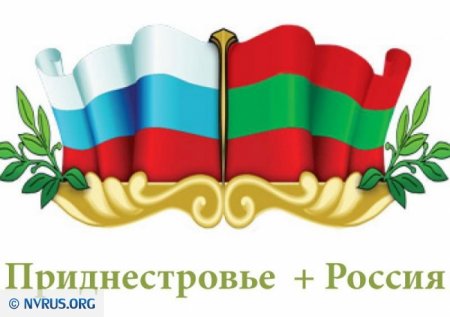 Совфед может признать Приднестровье частью России