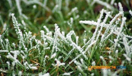 Ночные заморозки до минус 3 градусов прогнозируются в Челябинской области