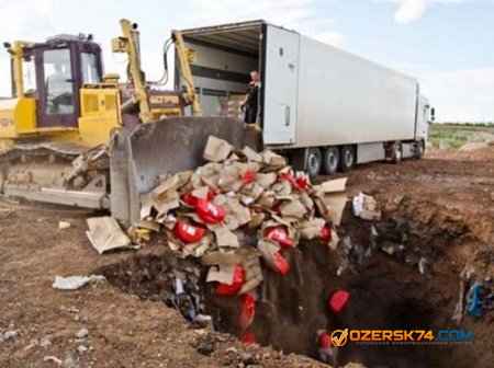Россия уничтожила 600 тонн санкционной еды
