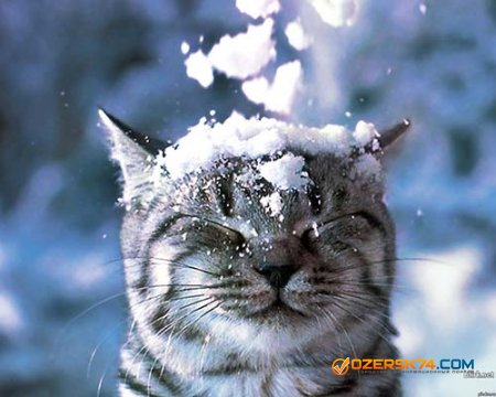 В ближайшее время в Екатеринбурге ожидается снег
