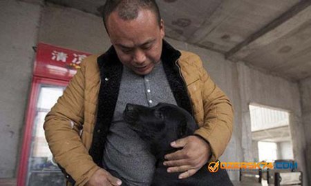 Китайский миллионер разорился на помощи собакам