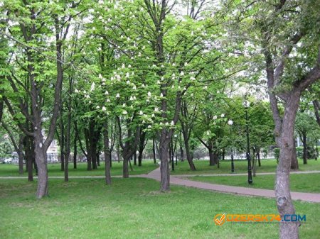 В Челябинске появится сквер имени Петра Сумина