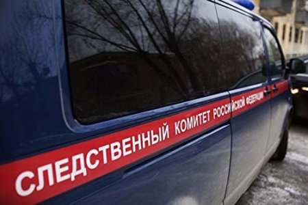 Следственный комитет предъявил обвинения теще и помощнику депутата Госдумы Белоусова