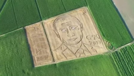 Итальянский фермер трактором «нарисовал» на поле портрет Путина