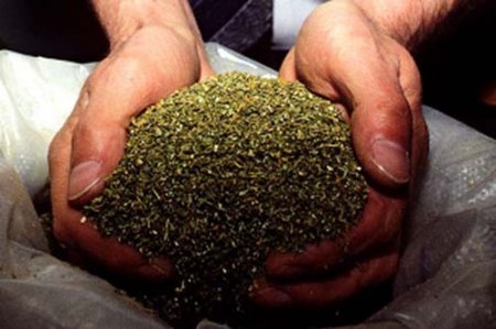 Жителя Озерска поймали с 1 кг марихуаны на ж/д станции