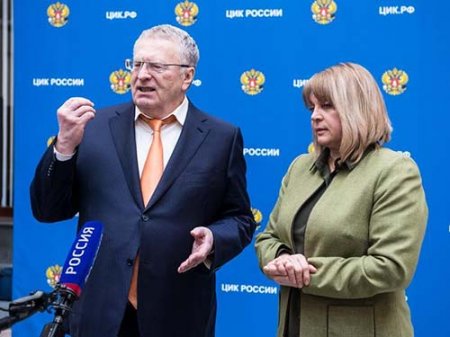ЛДПР выбрала Жириновского своим кандидатом в президенты