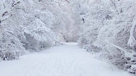 В феврале на Южном Урале прогнозируют аномальные снегопады