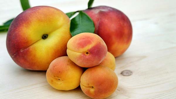 Кому не стоит есть много персиков и абрикосов?