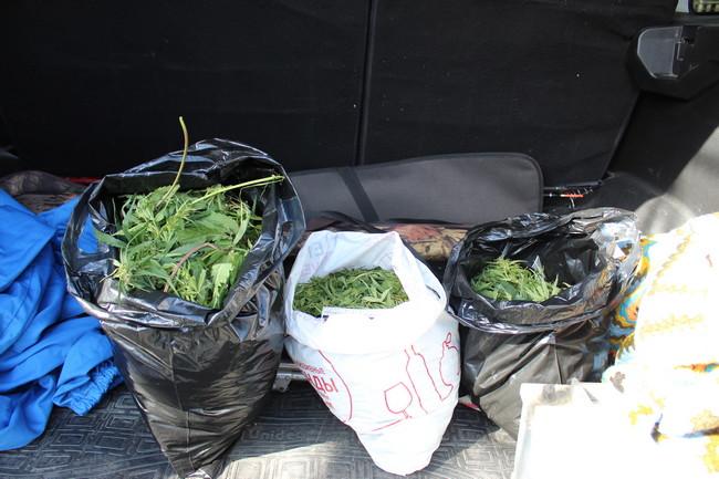 Полицейские Озёрска изъяли более килограмма наркотических средств