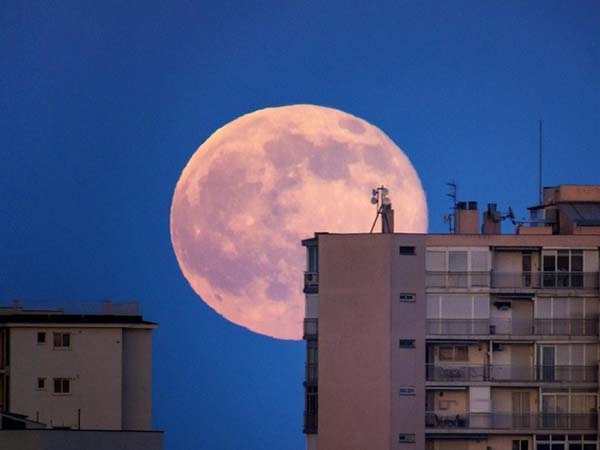 Розовая Луна: какие сюрпризы принесет апрельское полнолуние