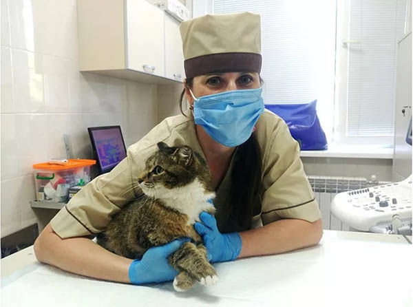 В Челябинске начали вакцинировать от COVID-19 домашних животных