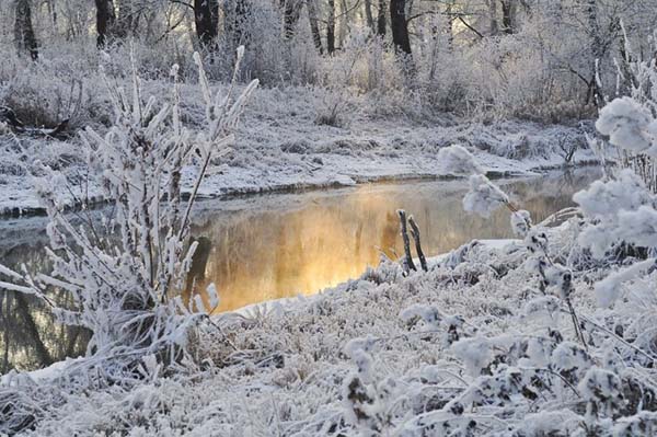 Снег в Челябинскую область придет раньше ожидаемого