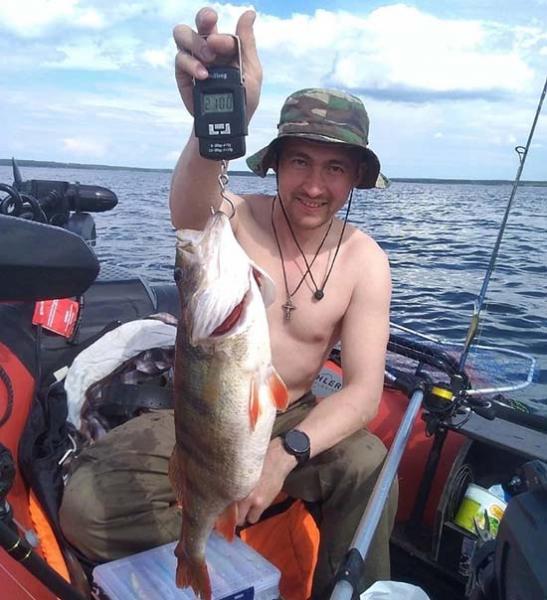 В Челябинской области рыбак поймал гигантского окуня