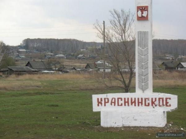 Жители села в Челябинской области подали заявку на референдум о прямых выборах главы сельсовета