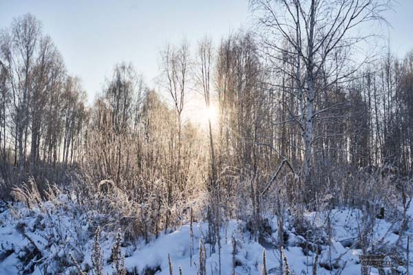 Челябинскую область ждет бесснежная солнечная неделя